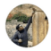 kb-student-yordindren.png__PID:c26510f7-7f7e-47d3-9606-ef0e8b7fa4c7